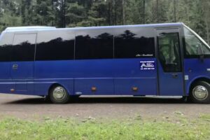 Alebus.pl – Usługi Turystyczne Przewóz Osób Przemysław Stępnik