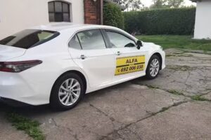 Alfa taxi
