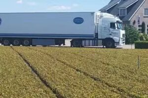 Altatrans – spedycja, transport, chłodnie kwiatowe