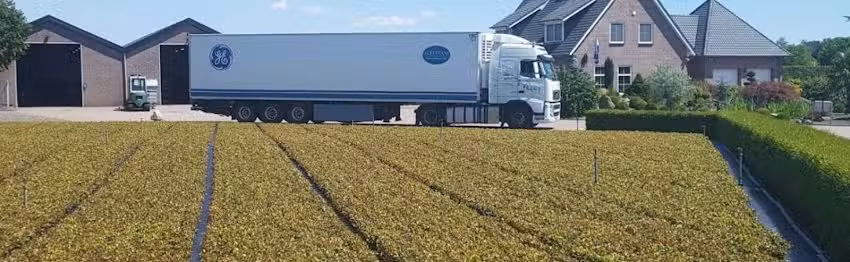 Altatrans – spedycja, transport, chłodnie kwiatowe