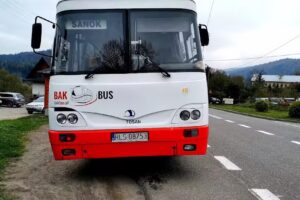 Bak-Bus
