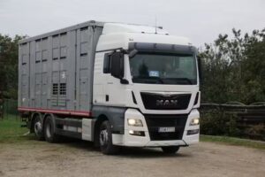 Bizon Logistyka Sp. z o.o