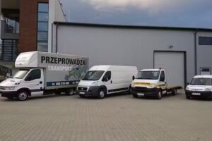 C&T Polska Sp. z o.o. Firma Transportowa, Przeprowadzki, Roboty Ziemne , Usługi koparko-Ładowarką