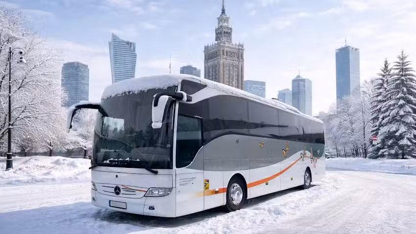 Damarobus s.c.