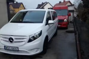 Dawibus