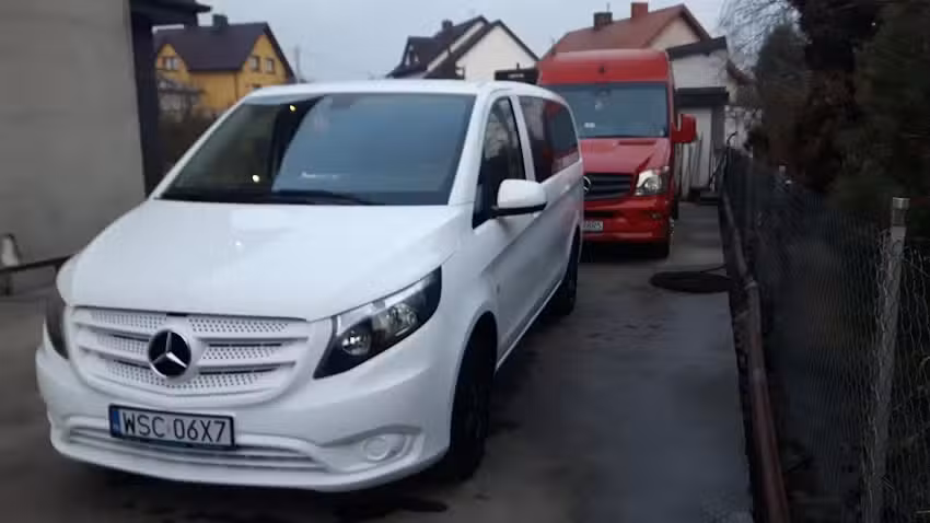 Dawibus