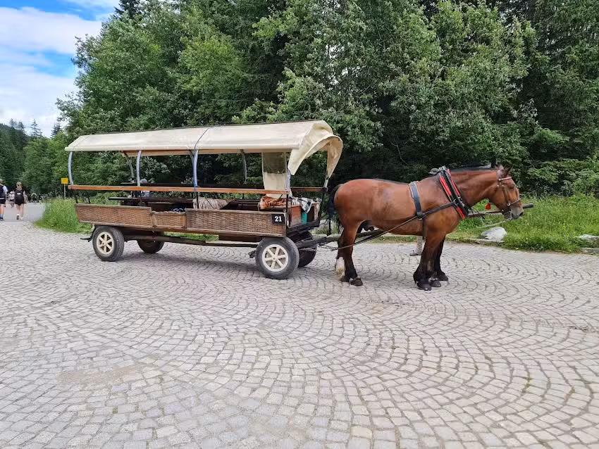 Dolny postój wozów konnych