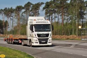 Dzieniszewski Waldemar. Przedsiębiorstwo transportowo spedycyjne