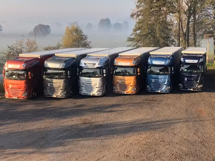 Emik. Usługi transportowe. Link M.