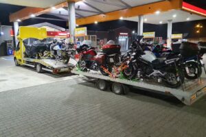 Eva Trans Sp Zoo
