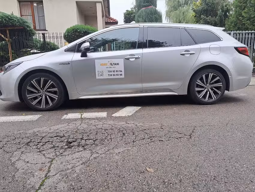 F.H.U ABEE TAXI- CHEMIA GOSPODARCZA