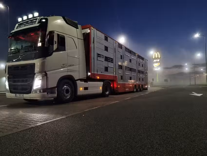 Fabiszewscy Usługi Transportowe