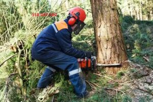 Firma Handlowo Usługowa Mateusz Klonowski
