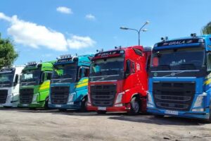 Grala Andrzej – Transport krajowy i międzynarodowy