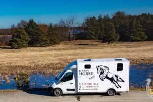 Happy Horse – Transport Koni