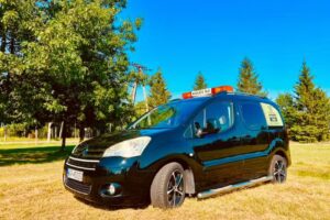 Kudłate TAXI – transport zwierząt domowych