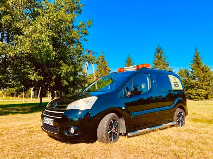 Kudłate TAXI – transport zwierząt domowych