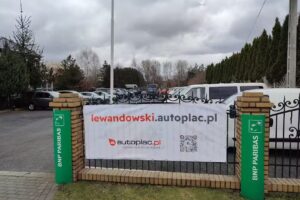Lewandowski Marek. Autohandel. Usługi transportowe