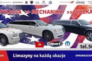Limo300C