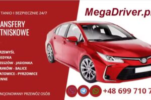 Mega Driver Taxi
