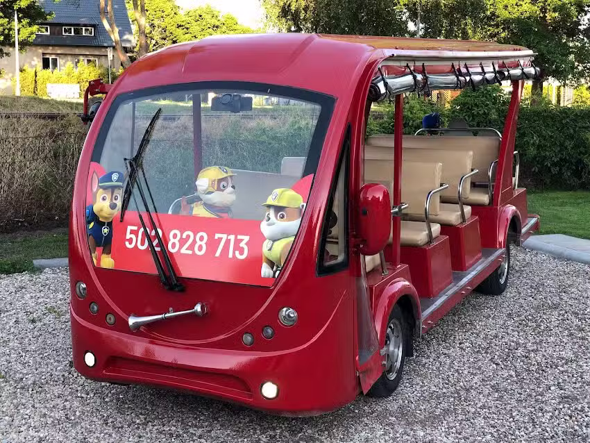 Melex Stegna Psi Patrol Meleks Pikachu