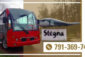 Melex Stegna Taxi Stegna Avengers