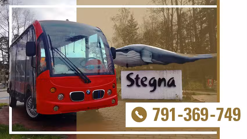 Melex Stegna Taxi Stegna Avengers