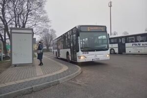 Olibus, Modzelewski. Transport sp.j.