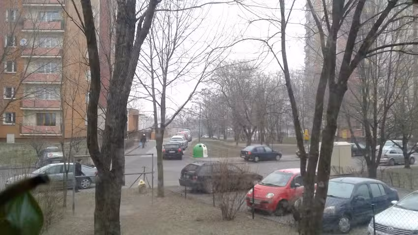 Opel Vivaro. Przewozy osobowe. Białkowski Ł.