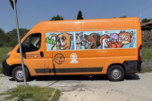 Pets Bus Transport Zwierząt Domowych