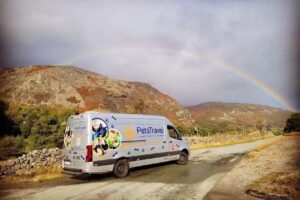 Pets Travel – Profesjonalny Transport Zwierząt domowych po Europie
