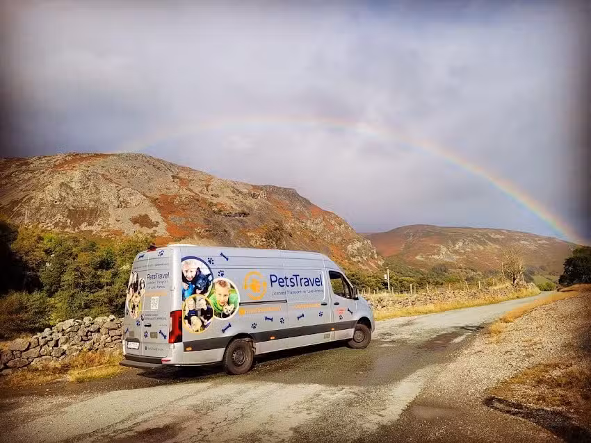 Pets Travel – Profesjonalny Transport Zwierząt domowych po Europie