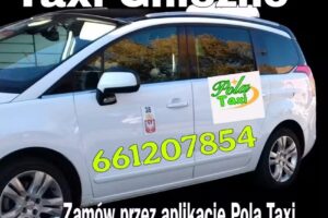Pola Taxi Gniezno