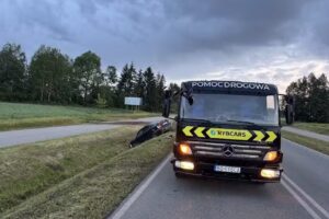 Pomoc Drogowa 24/7 Holowanie Laweta S61 Via Baltica RybCars