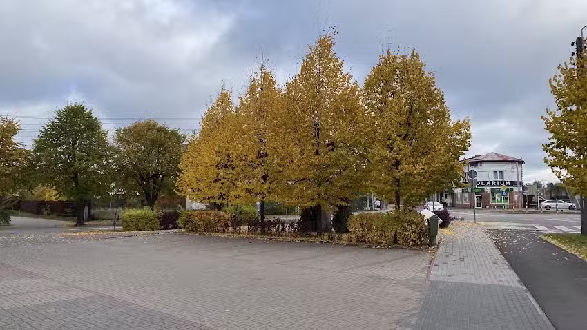 Postój taksówek