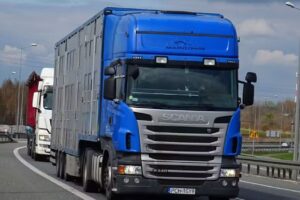 Przedsiębiorstwo Transportowo – Handlowe ROFIA