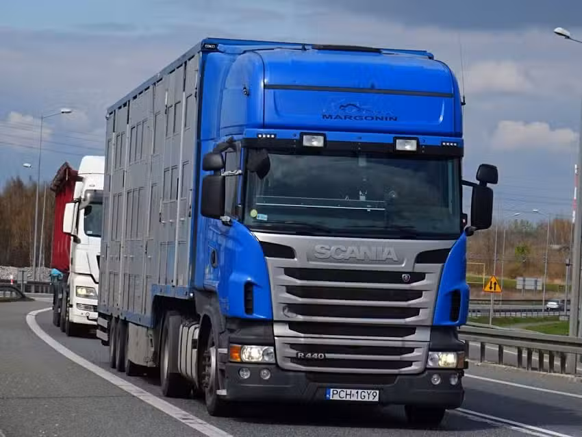 Przedsiębiorstwo Transportowo – Handlowe ROFIA