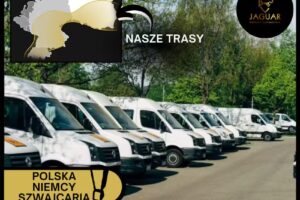 Przewozy Międzynarodowe – Jaguar