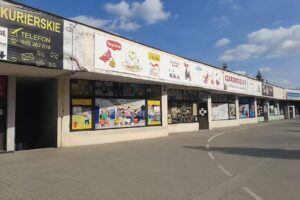 Remis-Express
