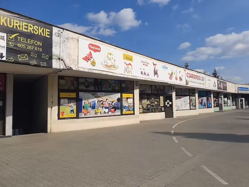 Remis-Express