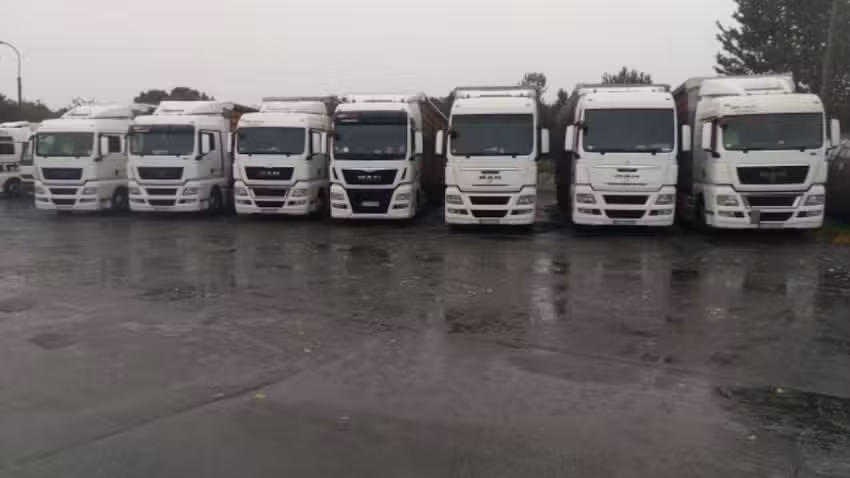 Speed Trucks Sp. z o.o. Transport międzynarodowy zwierząt, drobiu