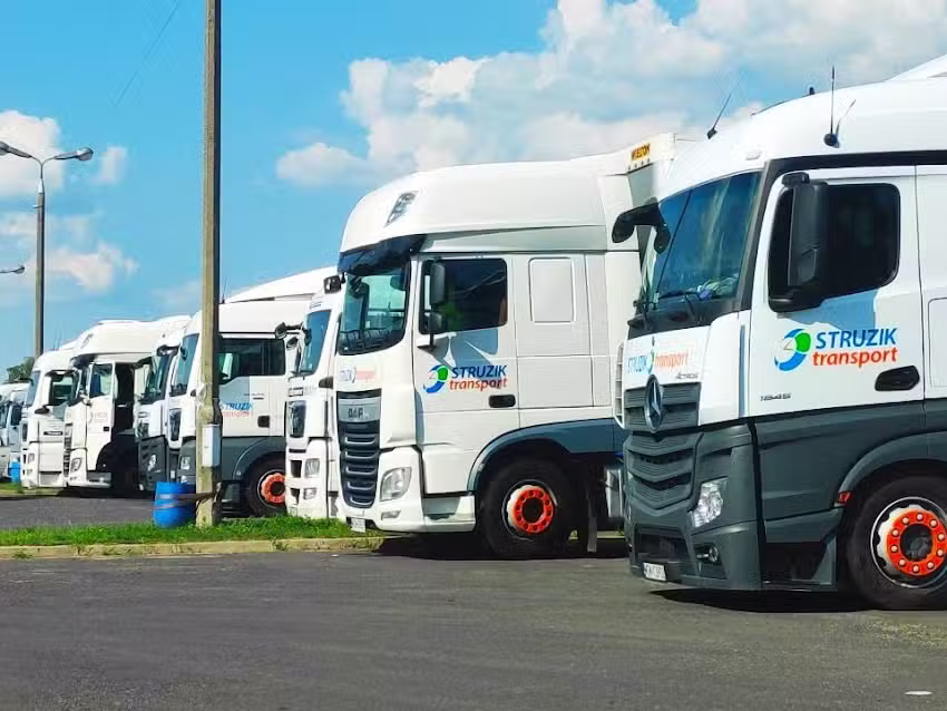 Struzik Transport