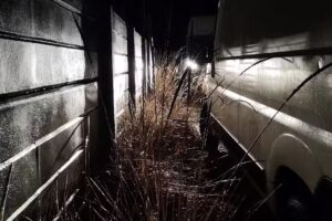 TaniBus Taxi Bagażowe Transport Przeprowadzki Poznań