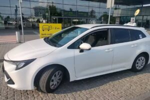 Taxi Bear Ornontowice, Orzesze