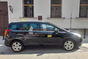 Taxi Bochnia Miki floris 3/10