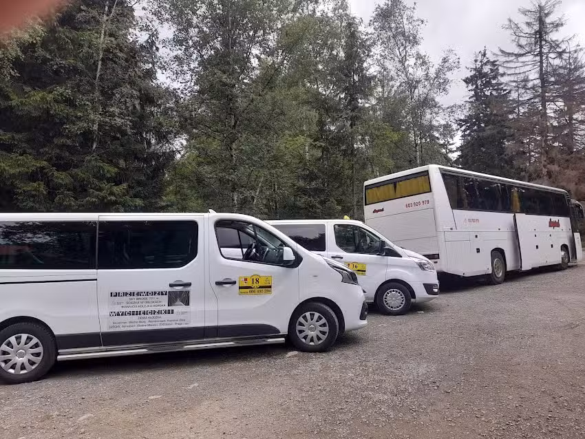 Taxi Bus nr 18 Kudowa-Zdrój Tanio Henryk