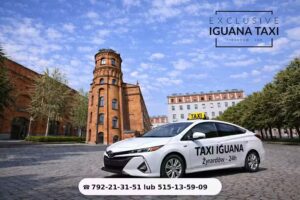 Taxi Exclusive Iguana – Żyrardów 24h