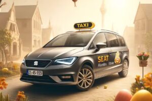 TAXI Iława SEAT 6 osobowe