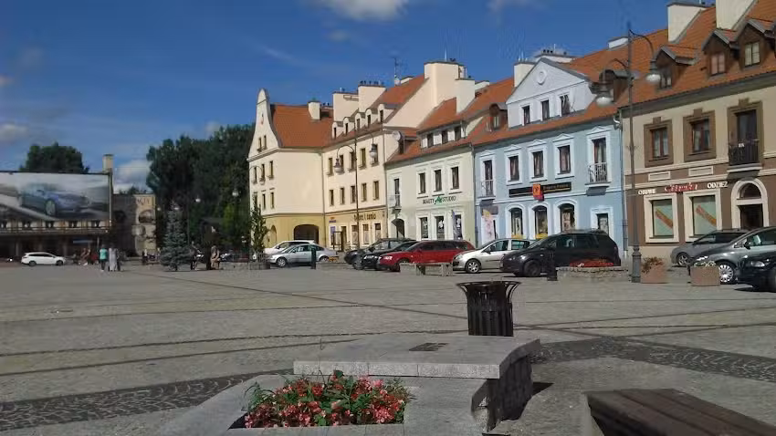 TAXI PISZ HALO
