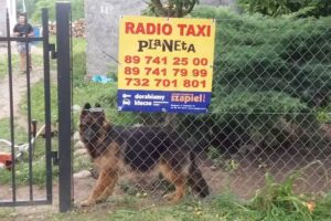 Taxi Planeta